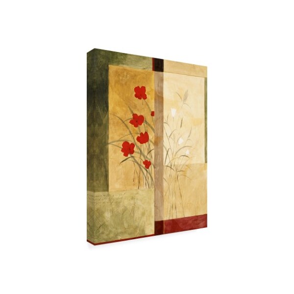 Pablo Esteban 'Red And White Flowers Squared' Canvas Art,35x47